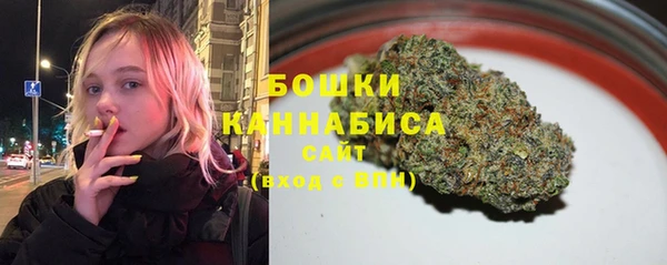 трава Ельня
