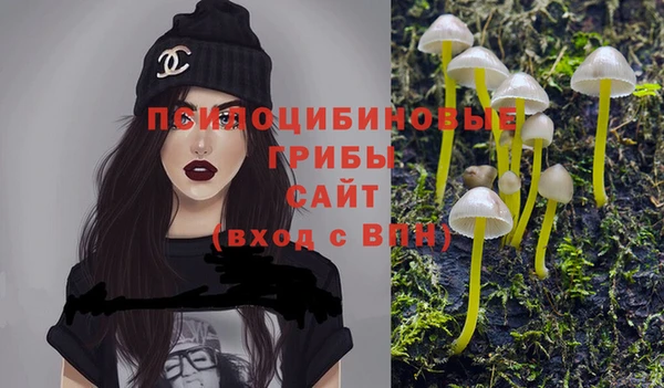 прущая мука Елабуга