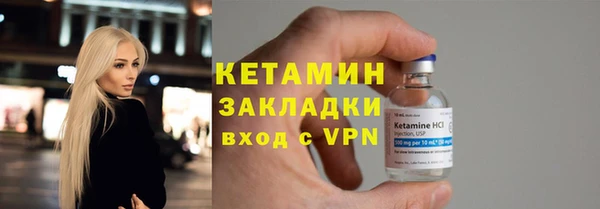 трава Ельня