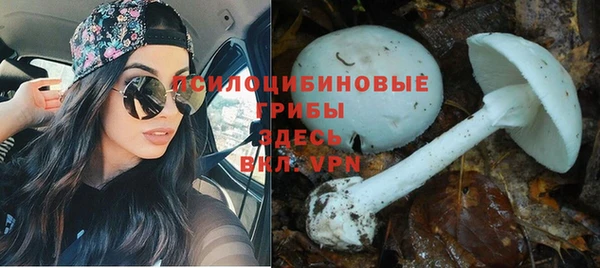 трава Ельня