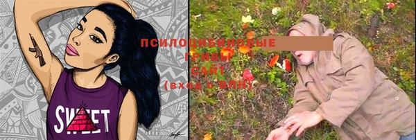 трава Ельня