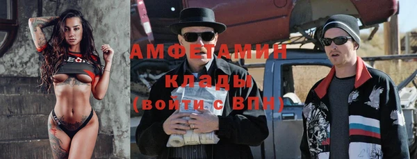 трава Ельня