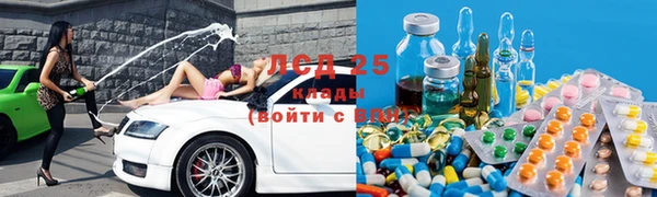 трава Ельня