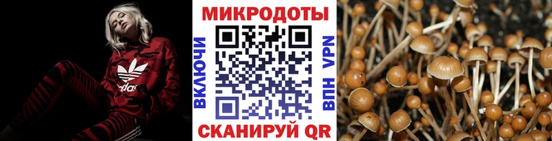 Купить  Мариинск  Галлюциногенные грибы мицелий 